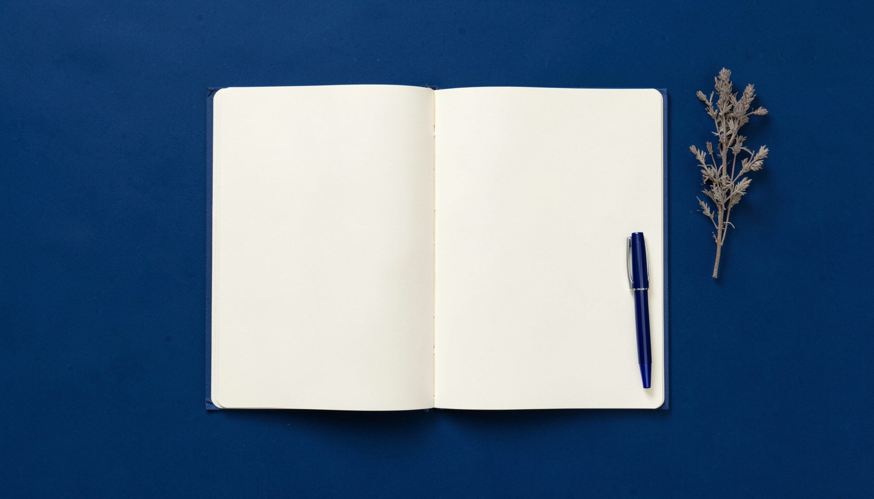 Overhead flat-lay photograph of a single open notebook with blank cream pages, a navy fountain pen, and a sprig of dried herb on a deep blue surface, soft and uncluttered.